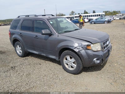 2011 FORD ESCAPE XLT