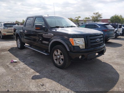 2010 FORD F-150 FX4/HARLEY-DAVIDSON/KING RANCH/LARIAT/PLATINUM/XL/XLT
