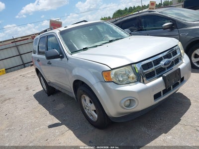 2009 FORD ESCAPE XLT