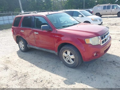 2010 FORD ESCAPE XLT