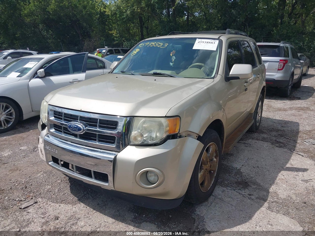 2011 FORD ESCAPE LIMITED · 2/11