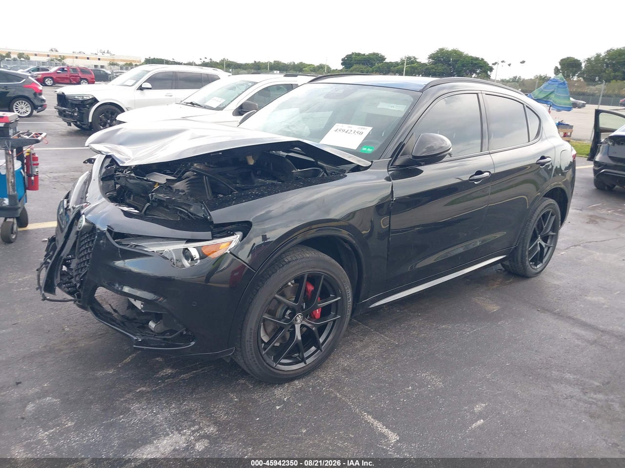 ZASPAKBN3L7****** · 2020 ALFA ROMEO STELVIO TI AWD · 2/11