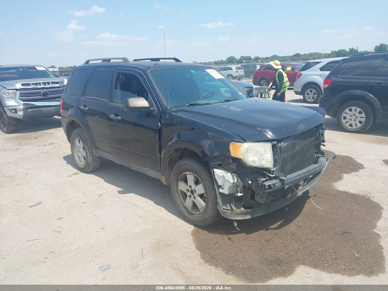 2009 FORD ESCAPE XLT