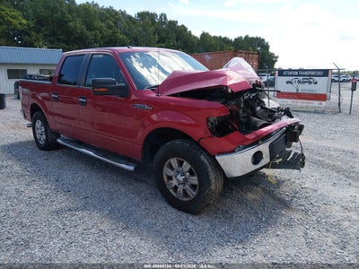 2010 FORD F-150 FX4/HARLEY-DAVIDSON/KING RANCH/LARIAT/PLATINUM/XL/XLT