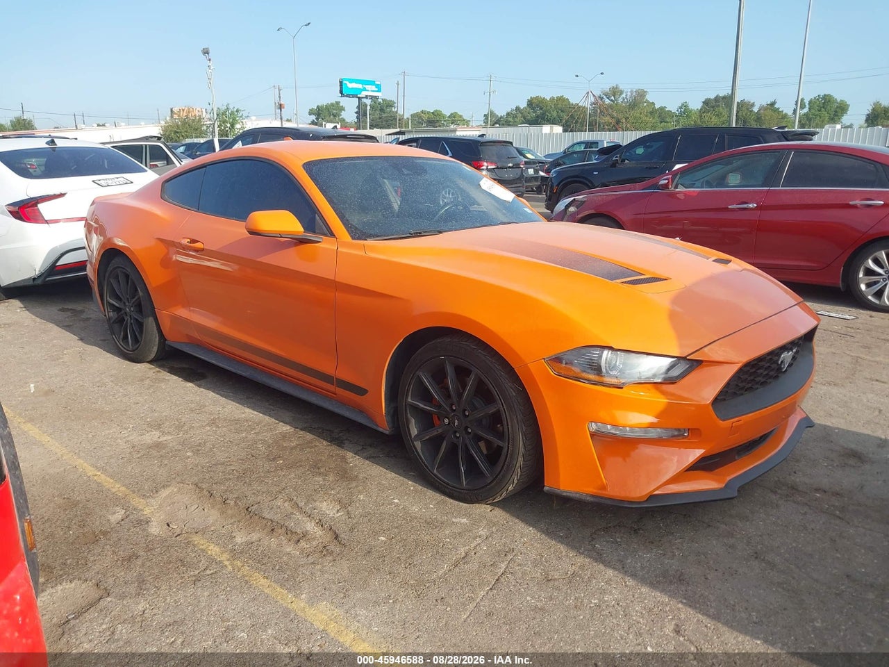 1FA6P8TH2L5****** · 2020 FORD MUSTANG ECOBOOST FASTBACK