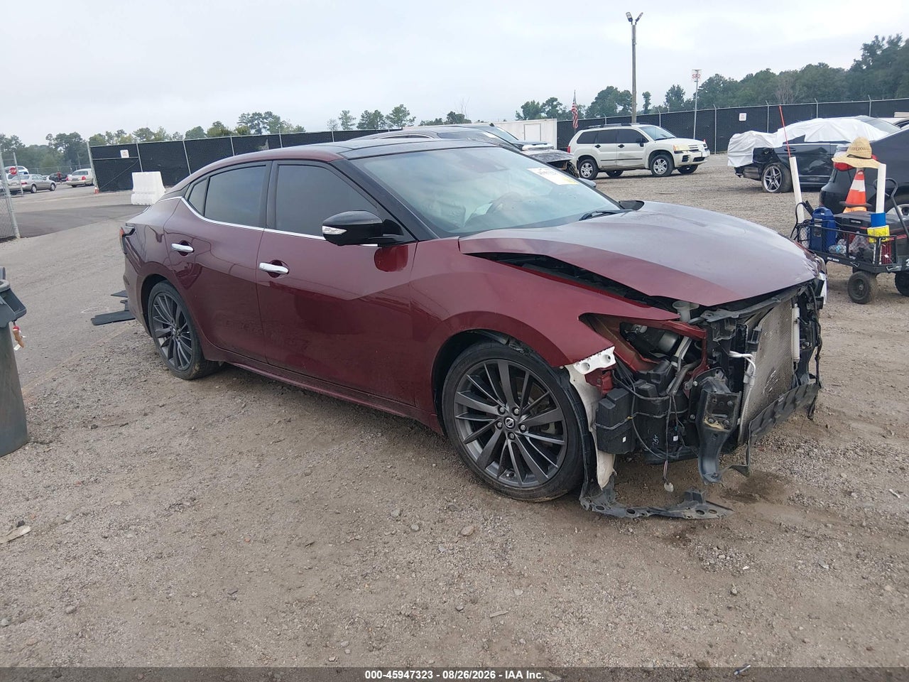 1N4AA6AV1KC****** · 2019 NISSAN MAXIMA 3.5 PLATINUM