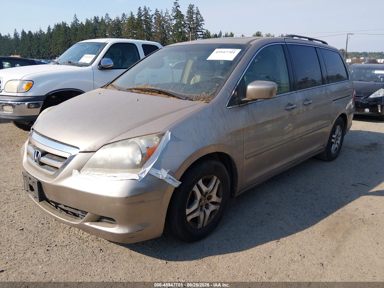 2005 HONDA ODYSSEY EX-L · 2/11