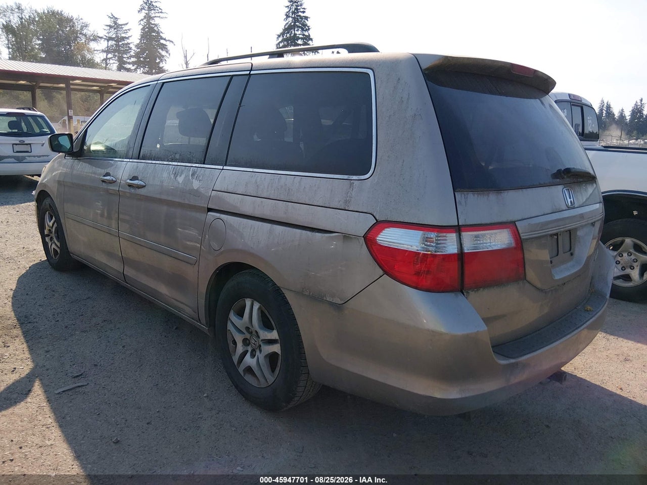 2005 HONDA ODYSSEY EX-L · 3/11