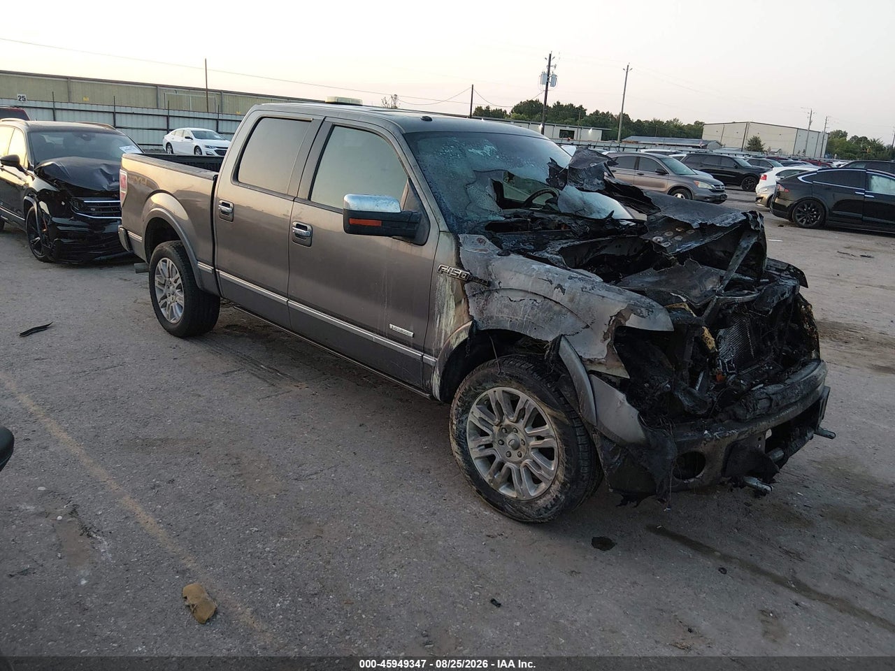 2013 FORD F-150 PLATINUM