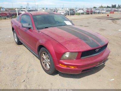 1ZVFT80N365****** · 2006 FORD MUSTANG V6