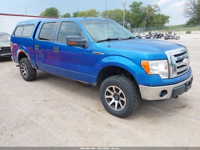 1FTRW14869K****** · 2009 FORD F-150 XL/XLT