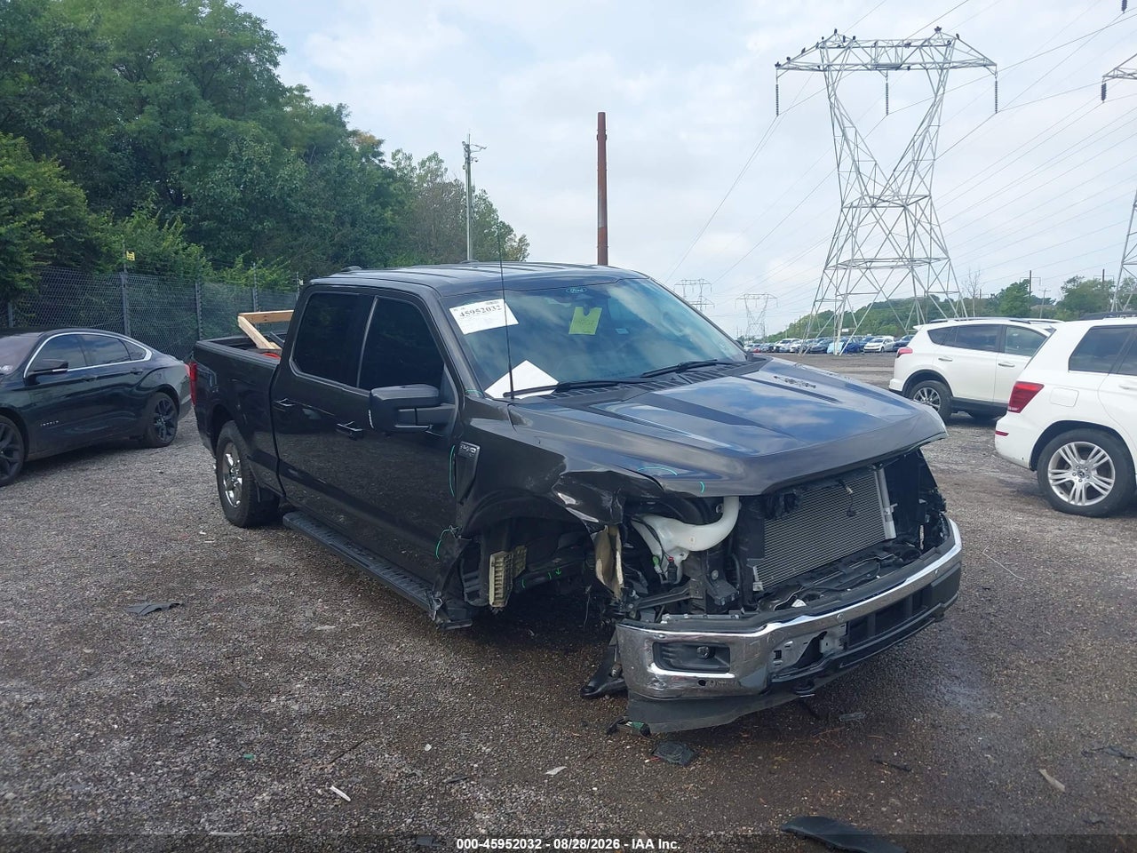 2024 FORD F-150 XLT