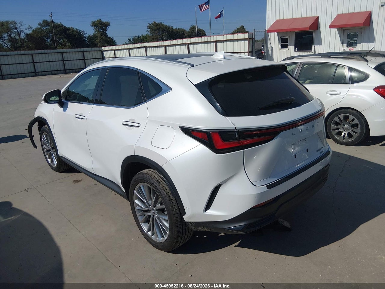 2025 LEXUS NX 350 LUXURY · 3/11