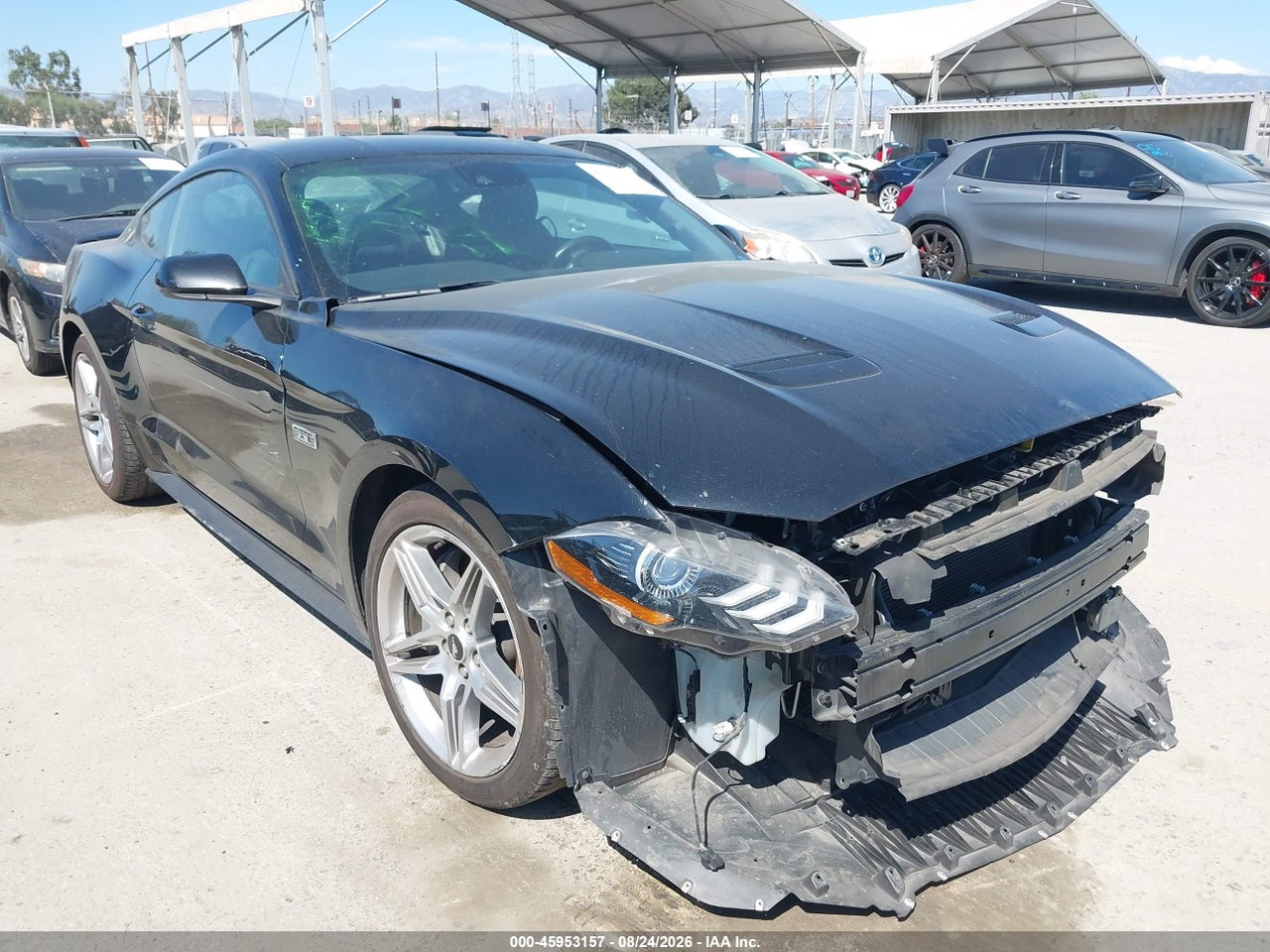 1FA6P8TD9M5****** · 2021 FORD MUSTANG ECOBOOST FASTBACK