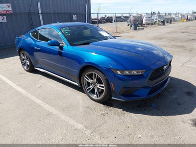 1FA6P8TH3R5****** · 2024 FORD MUSTANG ECOBOOST FASTBACK