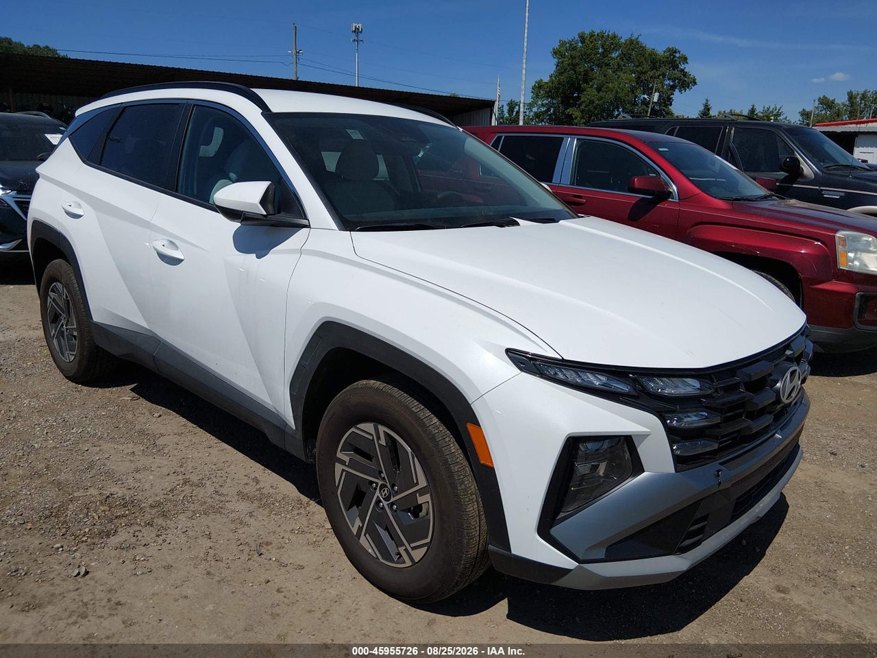 KM8JBDD15SU****** · 2025 HYUNDAI TUCSON HYBRID BLUE