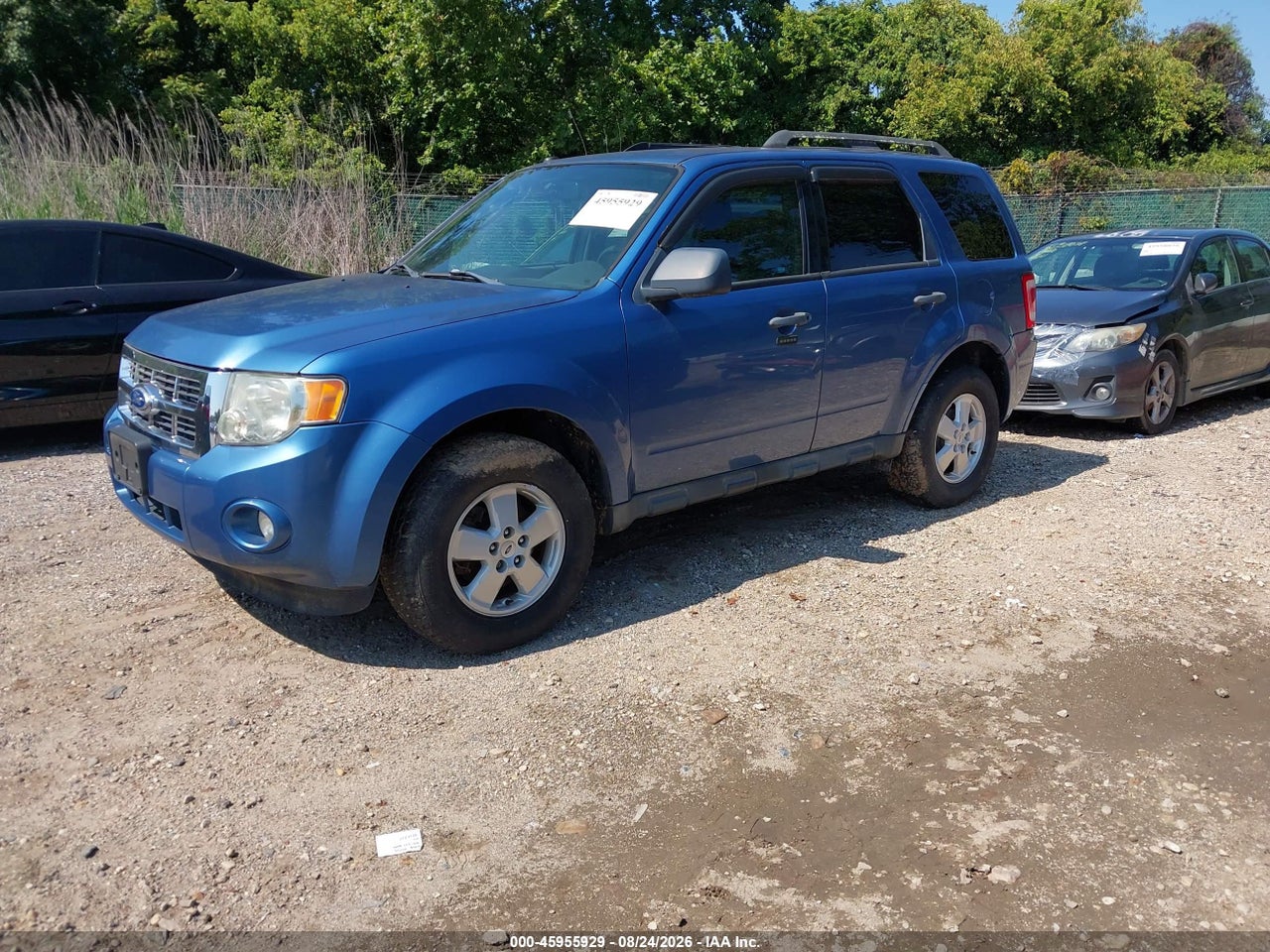 2010 FORD ESCAPE XLT · 2/11