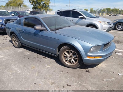 1ZVFT80N255****** · 2005 FORD MUSTANG V6 DELUXE/V6 PREMIUM