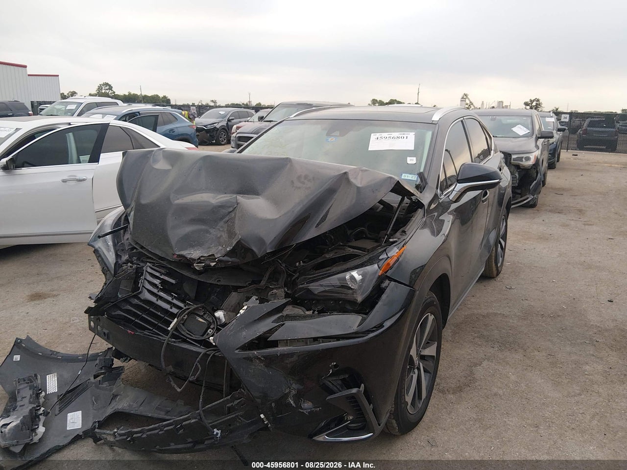 2019 LEXUS NX 300 · 2/11