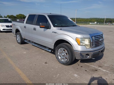 2010 FORD F-150 FX4/HARLEY-DAVIDSON/KING RANCH/LARIAT/PLATINUM/XL/XLT
