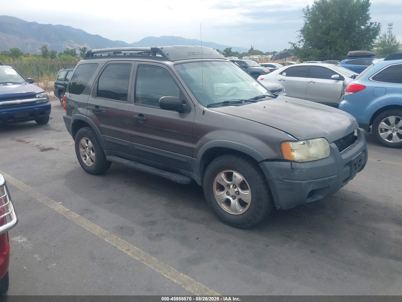 2003 FORD ESCAPE XLT