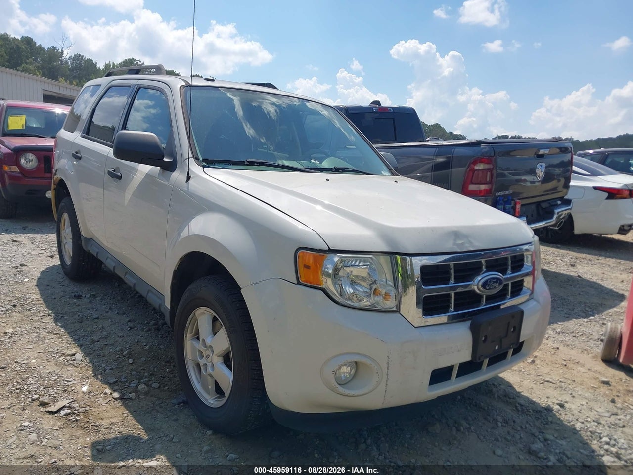 2010 FORD ESCAPE XLT