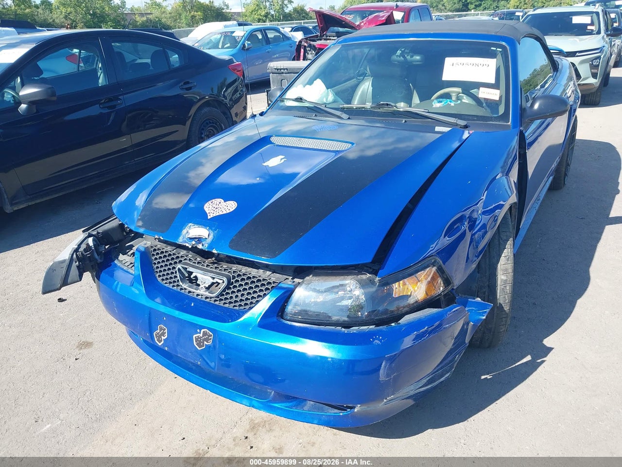 2002 FORD MUSTANG · 6/11