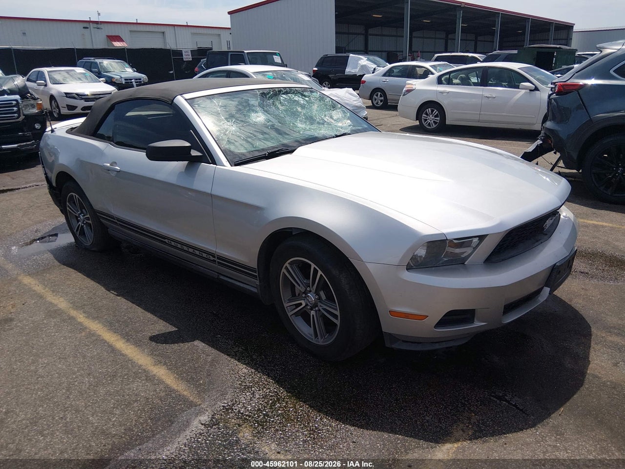 1ZVBP8EN6A5****** · 2010 FORD MUSTANG V6/V6 PREMIUM