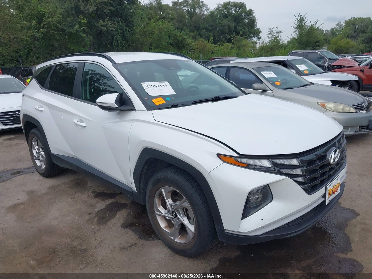 5NMJBCAEXNH****** · 2022 HYUNDAI TUCSON SEL