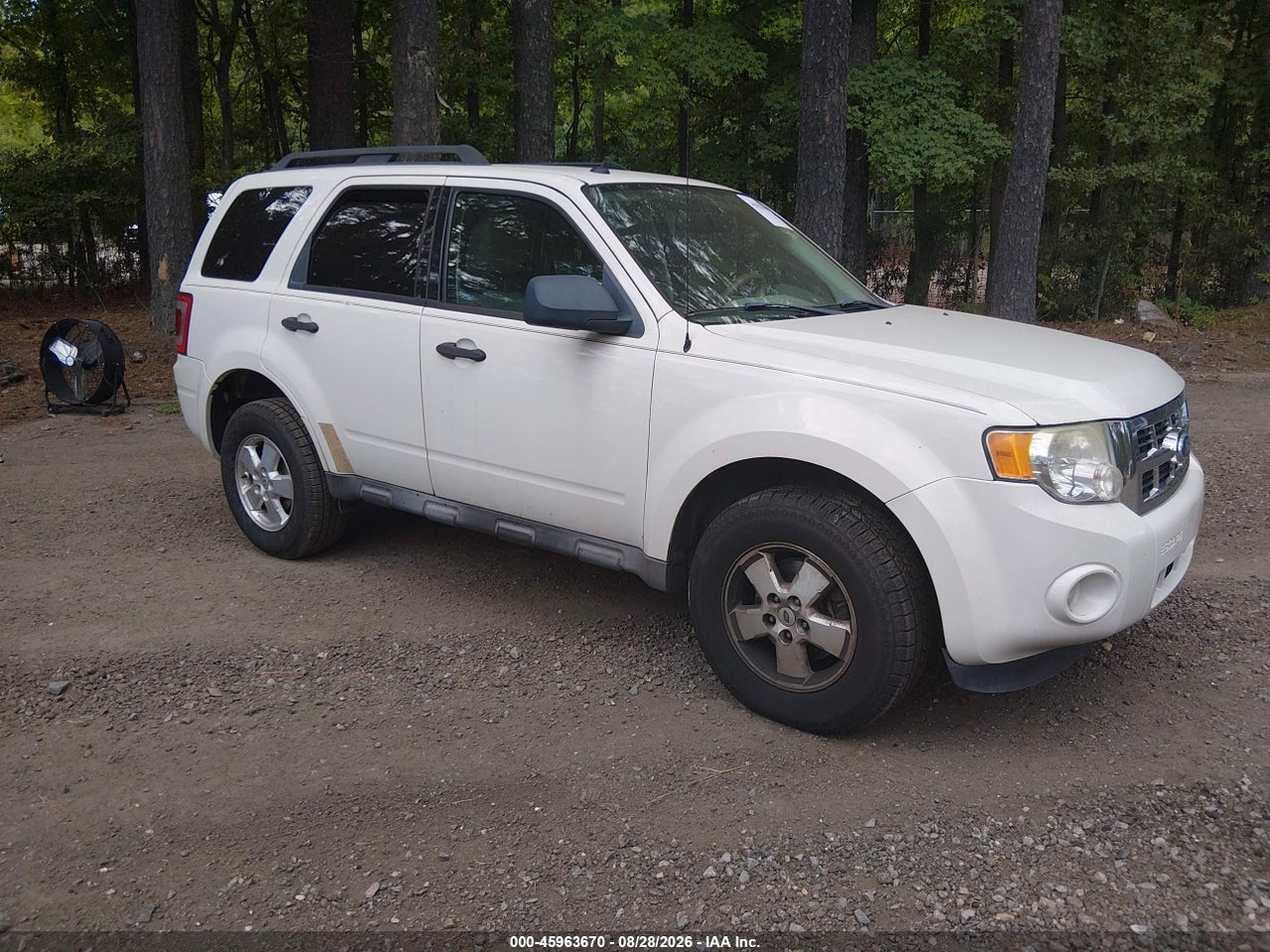 2011 FORD ESCAPE XLT