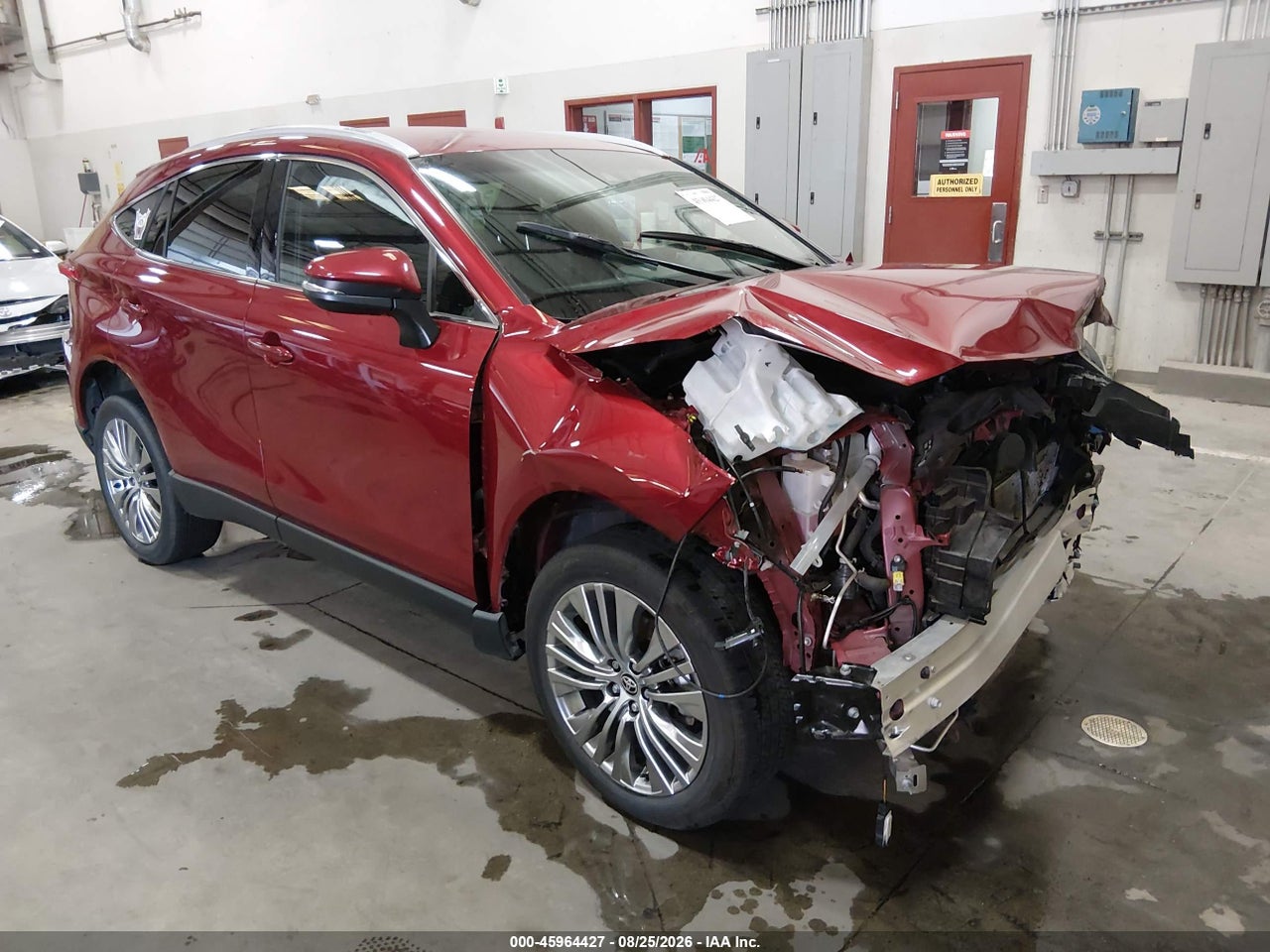 2023 TOYOTA VENZA XLE
