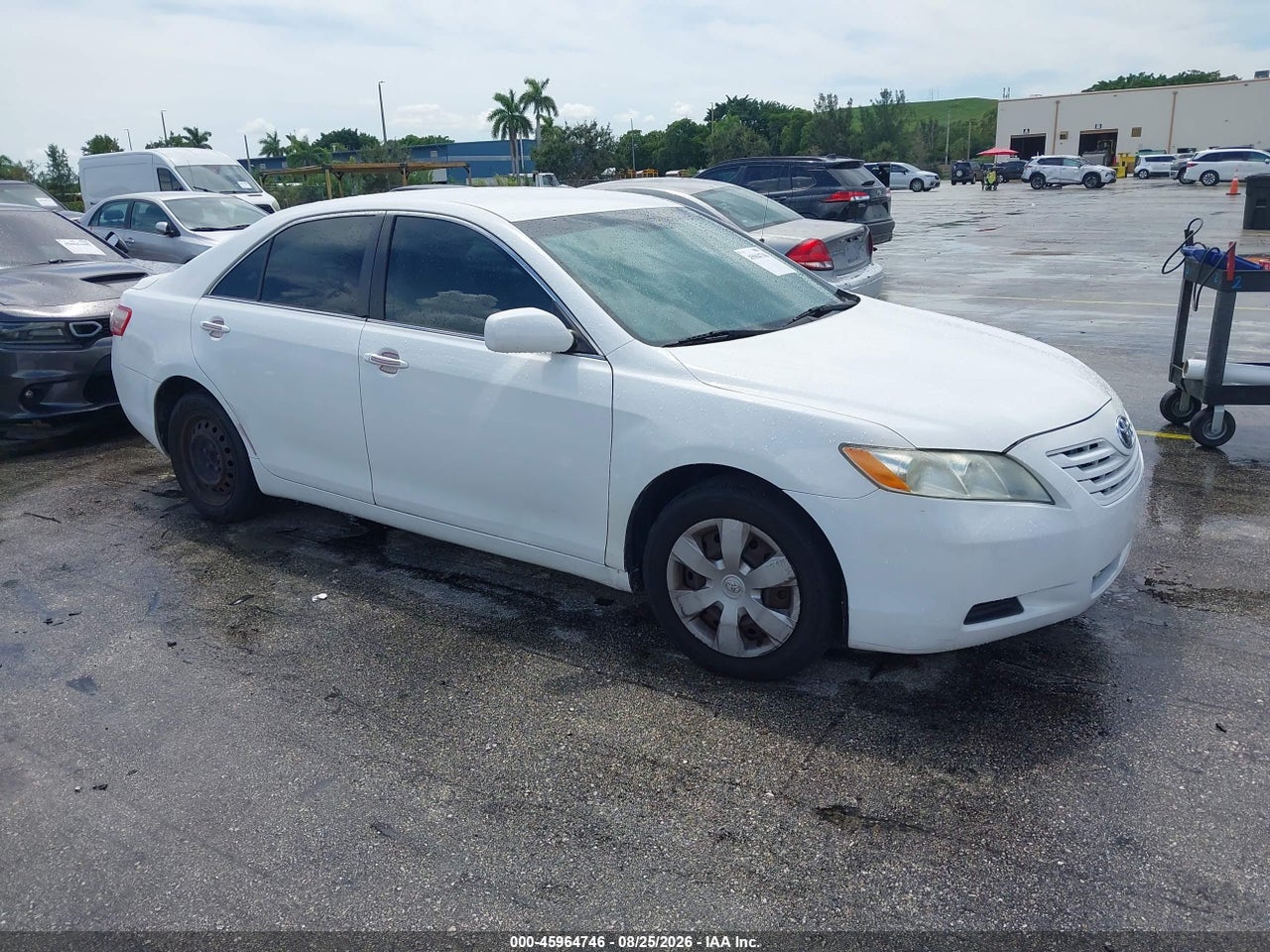 4T1BE46K48U****** · 2008 TOYOTA CAMRY LE