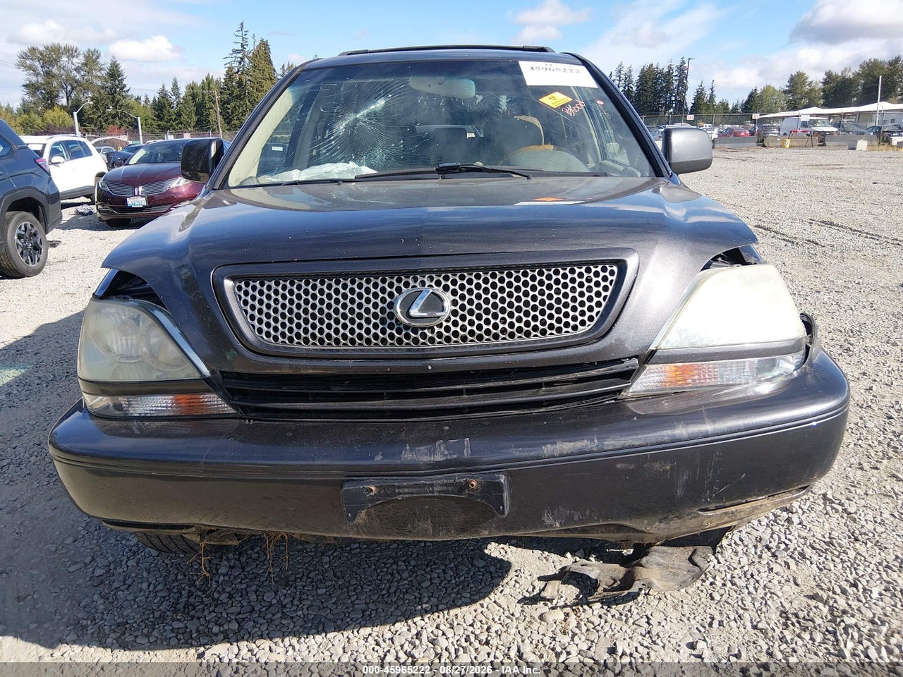 2002 LEXUS RX 300 · 6/11