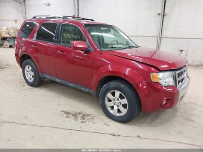 1FMCU9EG5AK****** · 2010 FORD ESCAPE LIMITED