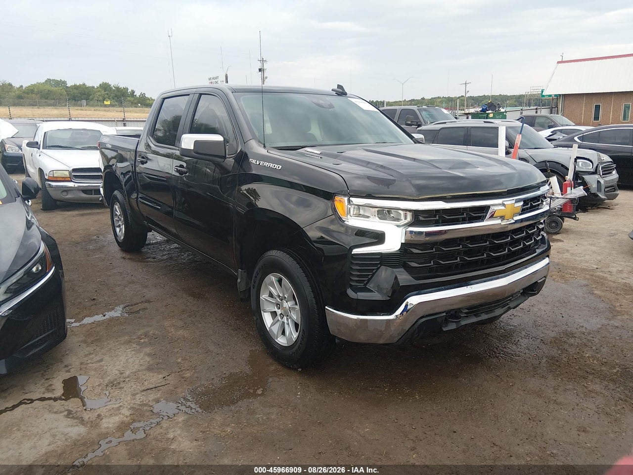 1GCPDDEKXRZ****** · 2024 CHEVROLET SILVERADO 1500 4WD  SHORT BED LT