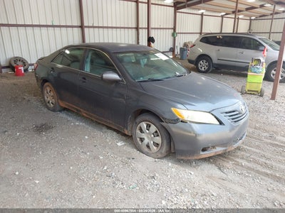 4T1BE46K39U****** · 2009 TOYOTA CAMRY LE