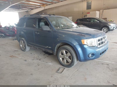 2009 FORD ESCAPE XLT