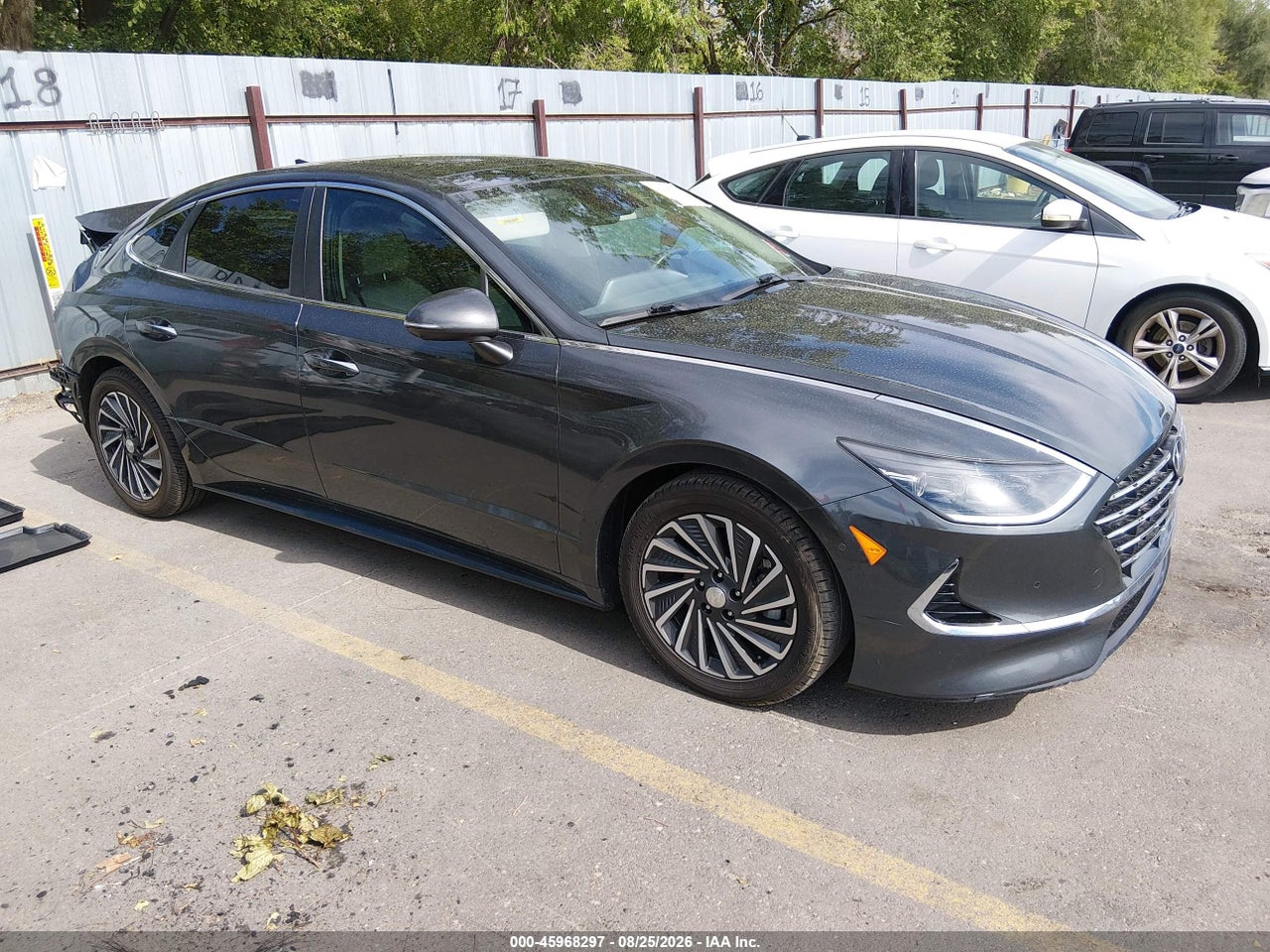 KMHL54JJ7PA****** · 2023 HYUNDAI SONATA HYBRID LIMITED