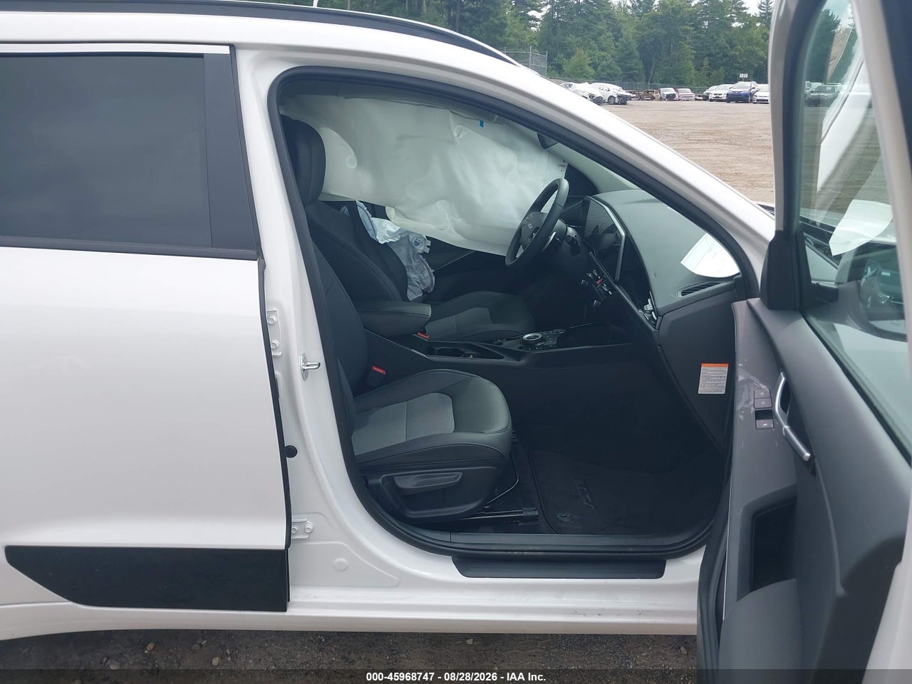 2026 KIA NIRO EV WIND · 5/11