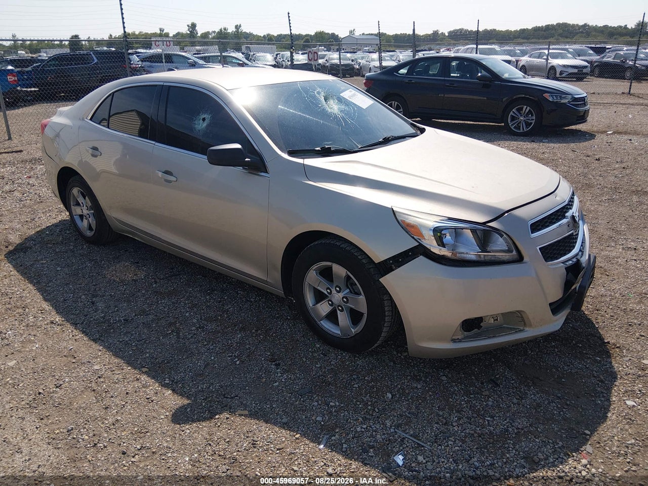 1G11B5SA1DF****** · 2013 CHEVROLET MALIBU 1LS