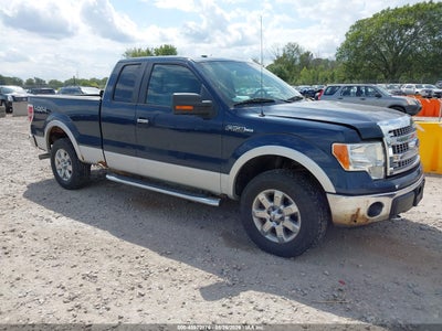 1FTFX1EF1DK****** · 2013 FORD F-150 XLT
