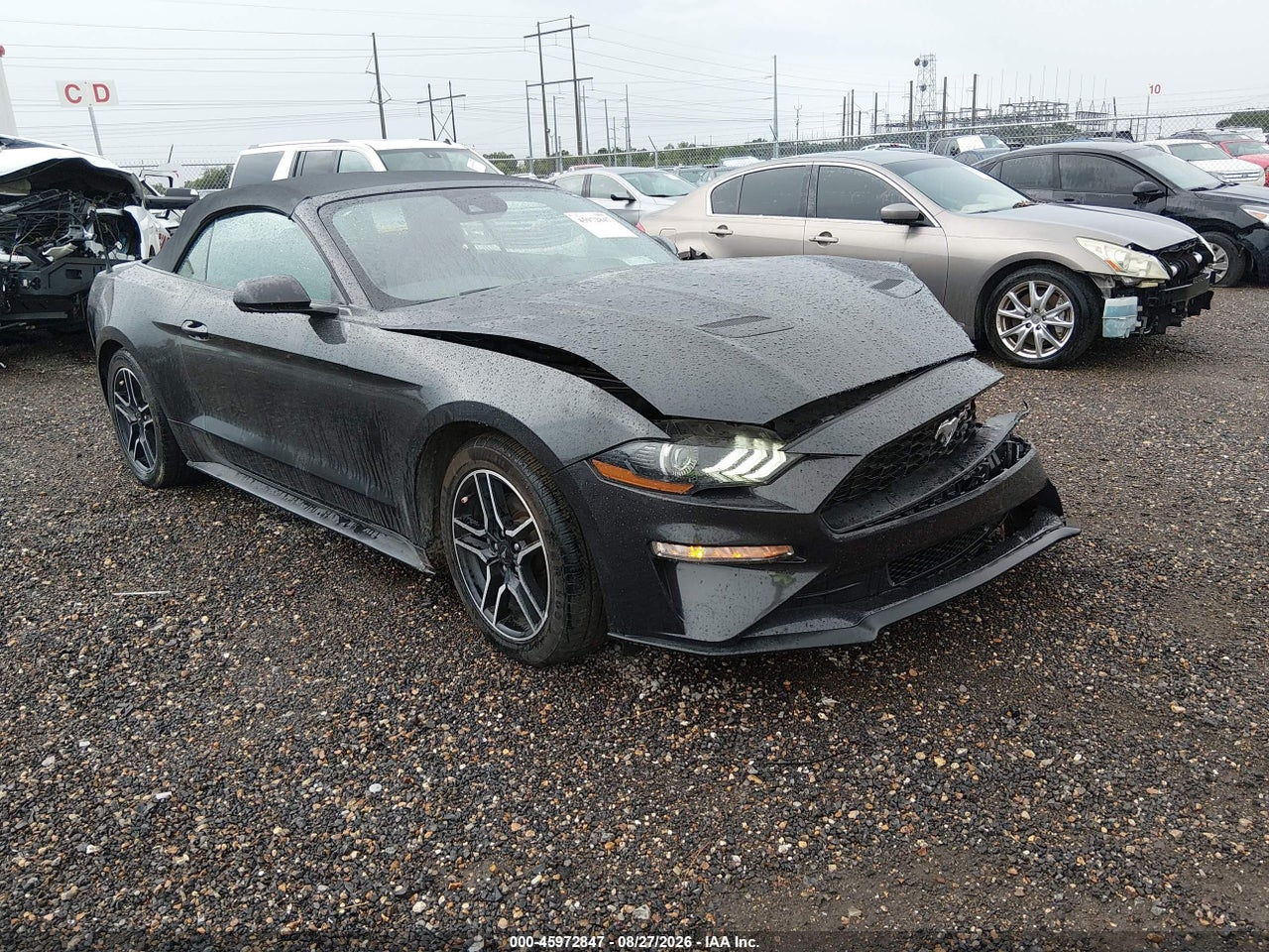 1FATP8UHXN5****** · 2022 FORD MUSTANG ECOBOOST PREMIUM