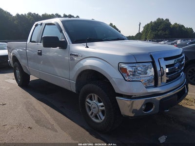 1FTFX1EF0DF****** · 2013 FORD F-150 XLT