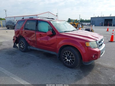1FMCU9EG2BK****** · 2011 FORD ESCAPE LIMITED