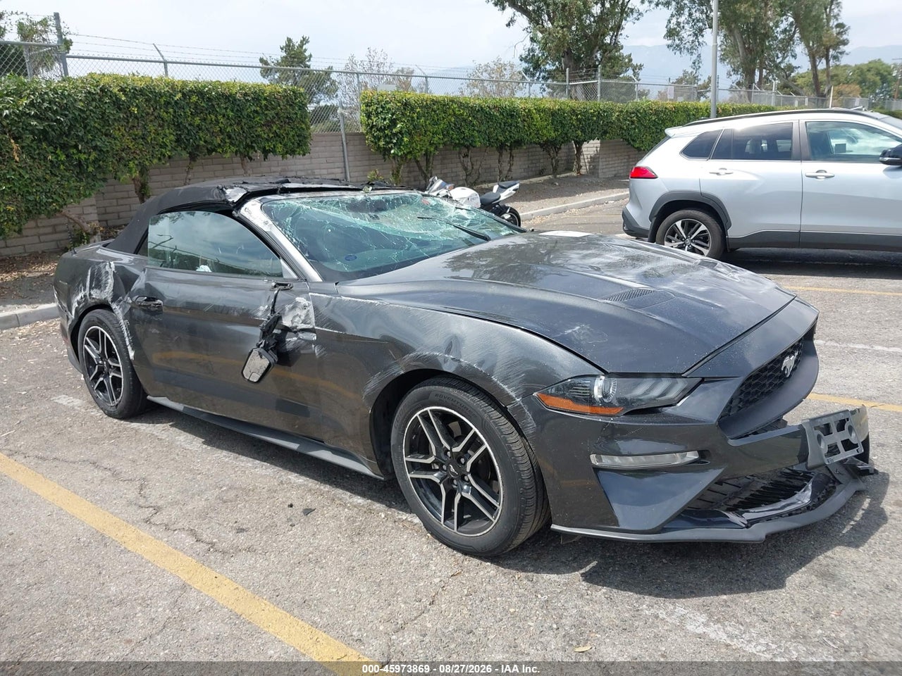 1FATP8UH2K5****** · 2019 FORD MUSTANG ECOBOOST PREMIUM
