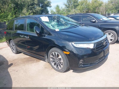 5FNRL6H69RB****** · 2024 HONDA ODYSSEY EX-L