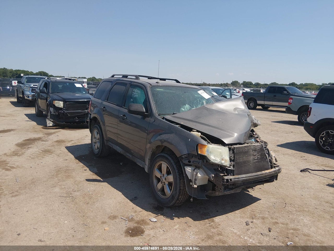 2011 FORD ESCAPE XLT