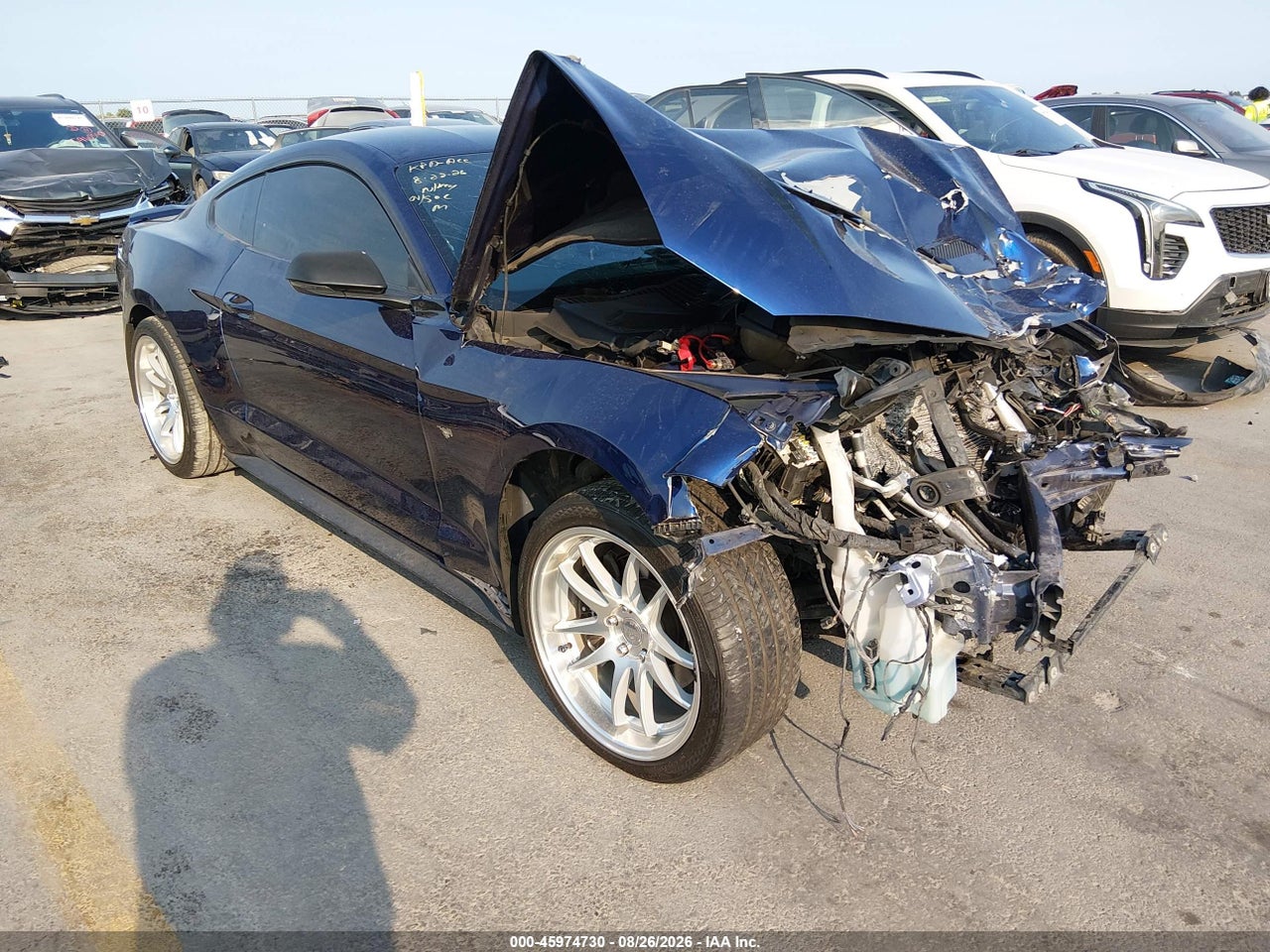 1FA6P8TH3K5****** · 2019 FORD MUSTANG ECOBOOST PREMIUM