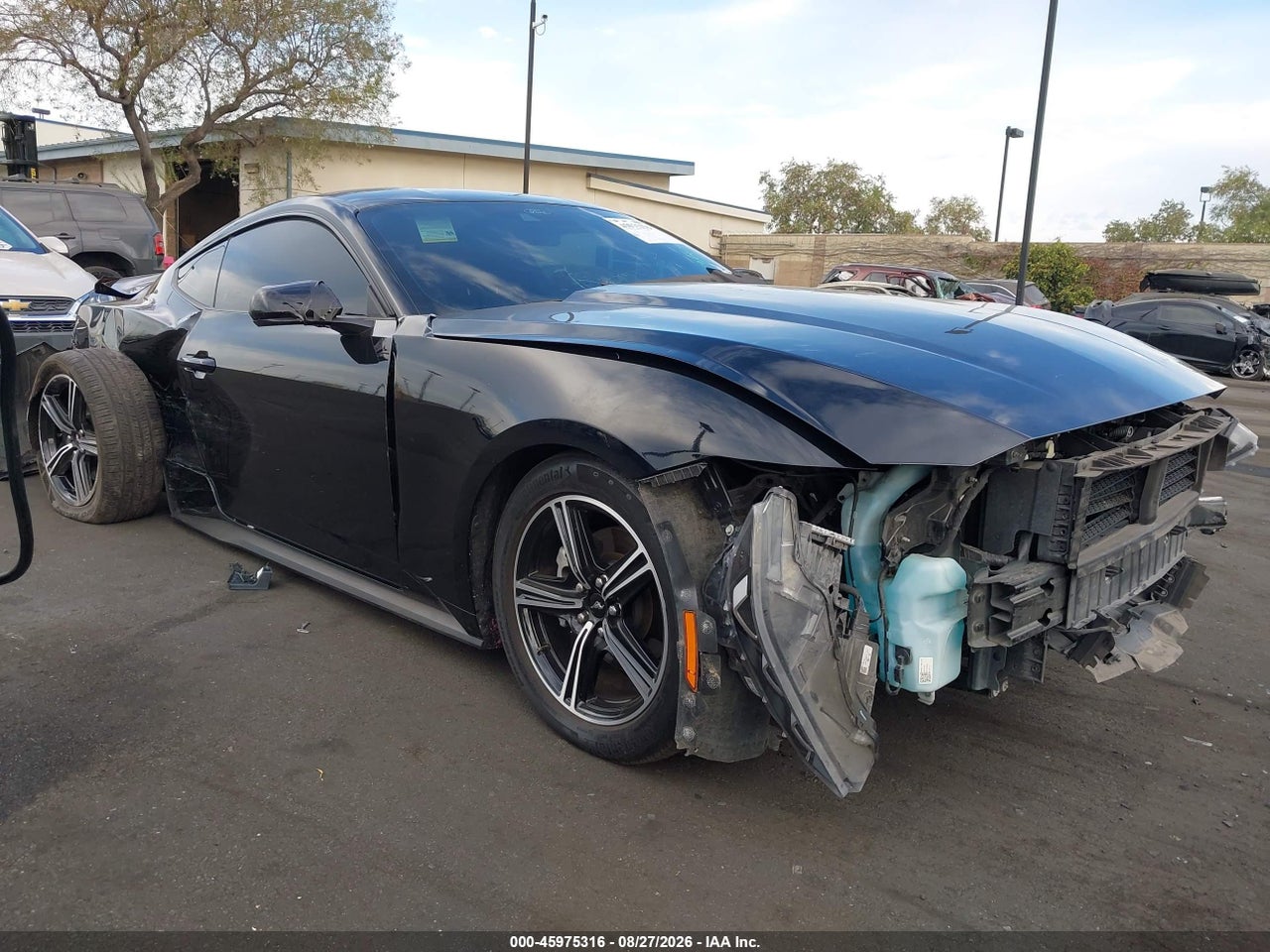 1FA6P8TH6R5****** · 2024 FORD MUSTANG ECOBOOST FASTBACK