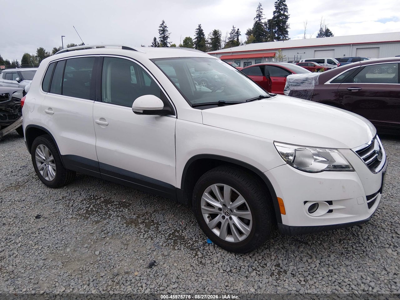 WVGBV75N09W****** · 2009 VOLKSWAGEN TIGUAN SE/SEL
